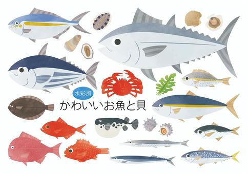 水彩風-かわいいお魚と貝セット 水彩風-かわいいお魚と貝セット 魚,魚介類,鮮魚,キンメダイ,トラフグ,サンマ,サヨリ,マダイ,マコガレイ,アジのイラスト素材