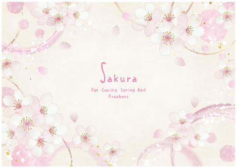 さくらのフレーム004 さくら,花びら,フレーム,桜,筆,桜の花,和,水彩,桜吹雪,メッセージのイラスト素材