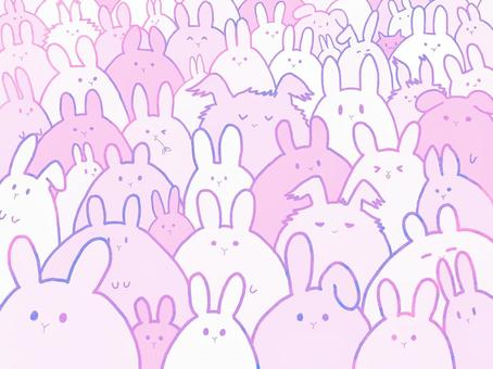 集合うさぎ アンゴラうさぎ,ライオンラビット,たち耳,たれ耳,猫,ピンク,壁紙,可愛い,ポップのイラスト素材