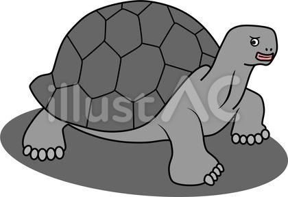 ゾウガメのイラスト