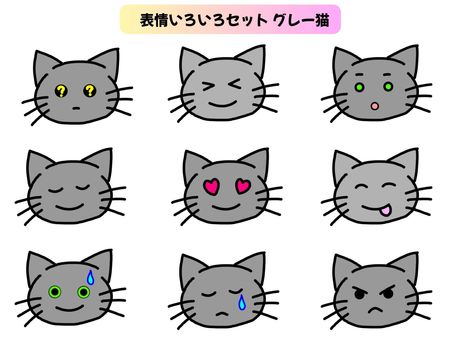 かわいい猫の顔表情いろいろセット＿グレー 猫,顔,表情,クエッション,？,わからない,理解不能,はてな,笑顔,驚くのイラスト素材