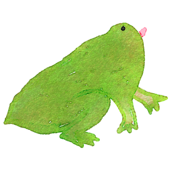 水彩で描いたカエル 水彩で描いたカエル カエル,両生類,動物のイラスト素材