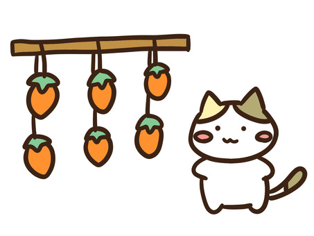 干し柿を作って秋を感じるかわいい三毛猫 干し柿,柿,渋柿,秋,ねこ,手作り,食育,収穫,味覚,食べ物のイラスト素材