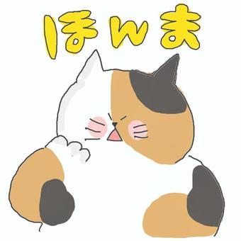 ほんま♪ かわいい,ほんま,大阪弁,関西弁,メッセージ,衝撃,驚く,びっくり,えっ,ねこのイラスト素材