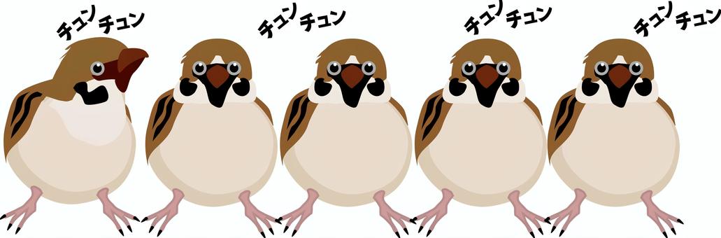 雀沢山 雀,沢山,並ぶ,小鳥,野鳥,かわいい,正面,鳴き声,顔,リアルのイラスト素材