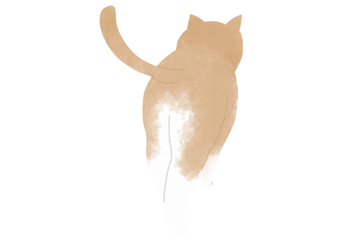 Illustration, cat, walk, rear view, 