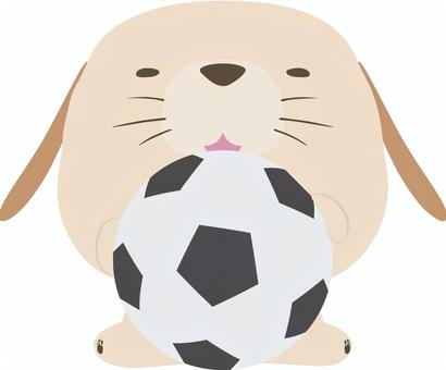 サッカーボール_犬_垂れ耳 サッカー,ボール,犬,スポーツ,動物,戌,戌年,干支,かわいい,イラストのイラスト素材