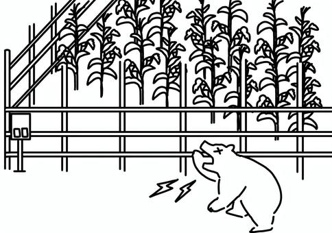 トウモロコシ畑と電気柵と感電クマ 線画 トウモロコシ畑と電気柵と感電クマ 線画 トウモロコシ畑,クマ,電気柵,対策,害獣,感電,線画のイラスト素材