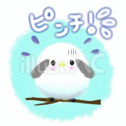 ピンチなシマエナガ*文字入ワンポイント