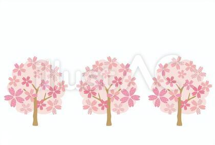 桜の木/和柄