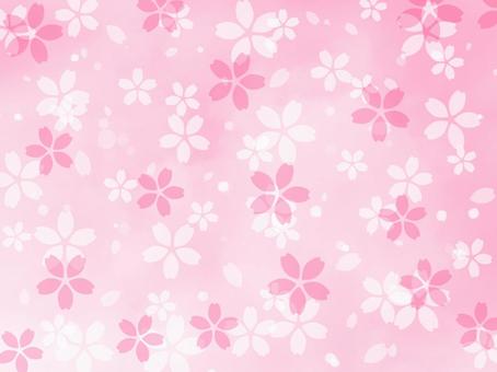 cute cherry blossom background, , JPG