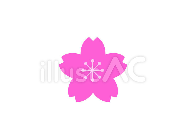 ピンクの桜 さくら,サクラ,桜のイラスト素材