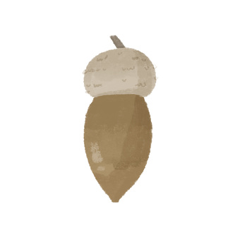 どんぐりのかわいい手描きイラスト