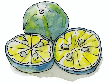 シークワーサー 香酸柑橘,ヒラミレモン,柑橘類,クエン酸,果物,から揚げ,焼き魚,水彩のイラスト素材