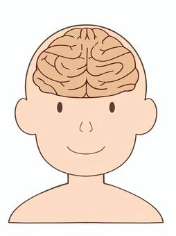 頭脳・正面・人 頭脳・正面・人 人体模型,手描き,人物,脳,脳みそ,解剖図,アイコン,理科,人,頭脳のイラスト素材