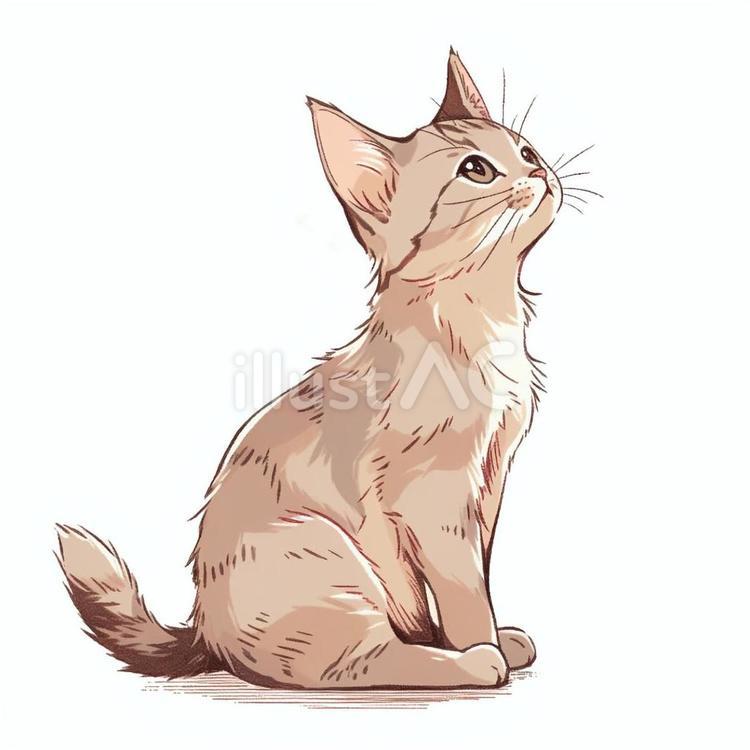 お利口さんネコ3 動物,ネコ,可愛いのイラスト素材