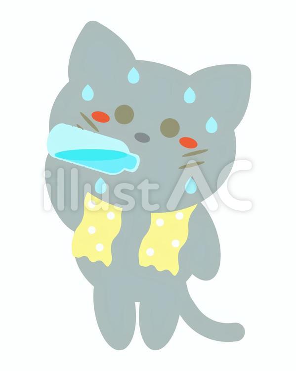 水分補給猫 猫,水分補給,水のイラスト素材