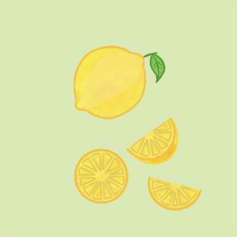 レモン レモン,シンプル,果物,柑橘,葉,レモンサワー,レモンジュース,食べ物,食材,カットレモンのイラスト素材