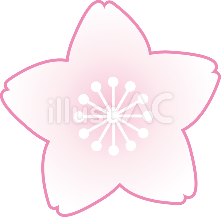 桜 さくら,春,花びらのイラスト素材
