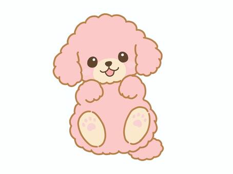 笑顔ゴロン仰向けの、桃色プードルイラスト プードル,トイプードル,犬,ペット,愛犬,飼い主,動物,仰向け,ゴロン,寝転ぶのイラスト素材