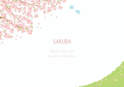 優しい桜の風景イラスト 優しい桜の風景イラスト 桜,春,植物,背景,花,自然,ナチュラル,ほのぼの,ほんわか,かわいいのイラスト素材