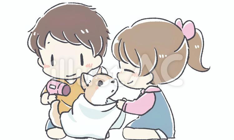犬を乾かす子どもたち 人物,子ども,子供のイラスト素材