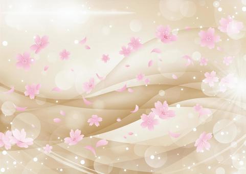 Sparkling cherry blossom background material, , JPG