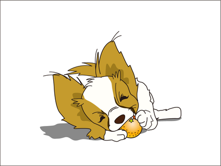 Papillon, be pleased, dog, to bite, JPG and EPS
