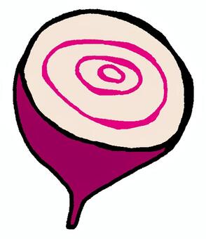 ビーツ断面（白） ビーツ,野菜,農作物,畑,家庭菜園,農家,農業,八百屋,ヘルシー,ビートルートのイラスト素材