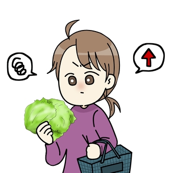 値上がりに怒ってる女性 人物,値上がり,不満気,怒る,レタス,野菜,高値,吹き出し,籠,スーパーのイラスト素材