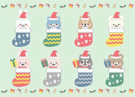 靴下に入った動物セット　線なし クリスマス,プレゼント,動物,かわいい,いぬ,ねこ,くま,うさぎ,しろくま,柴犬のイラスト素材