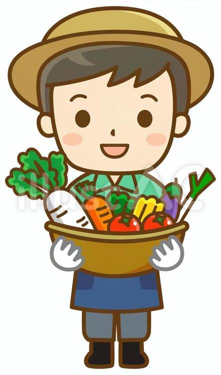 野菜カゴを持つ男性 農家,農業,農作業のイラスト素材
