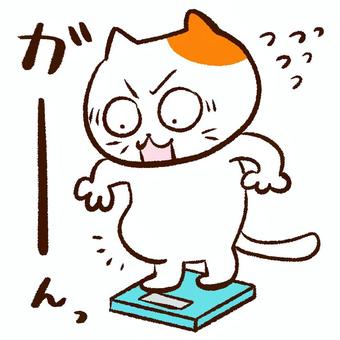 体重計に乗る太ったねこ１ 体重,体重計,三毛猫,ねこ,ショック,ダイエット,肥満,焦る,汗,計測のイラスト素材