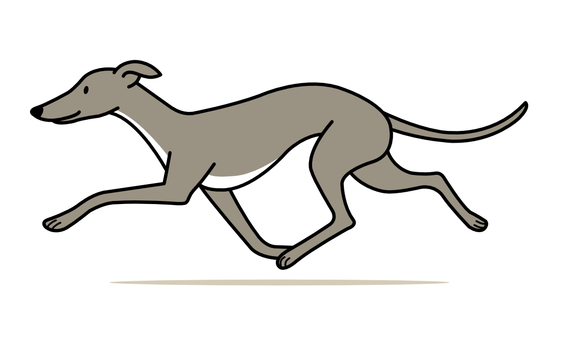 イタリアングレイハウンド イタリアングレイハウンド イタリアングレイハウンド,小型犬,ペット,かわいい,走る,グレーのイラスト素材