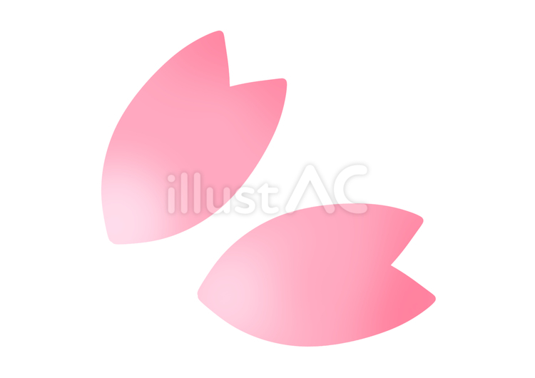 淡い色合いの桜の花びら 桜,花びら,春のイラスト素材