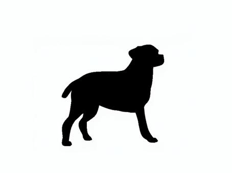 犬。。 犬,シルエット,動物,背景透過,黒犬,素材,ペット,哺乳類,アイコン,影絵のイラスト素材