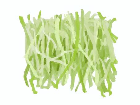 リアルすぎないキャベツの千切り 食べ物,野菜,キャベツ,千切り,葉物野菜,カットのイラスト素材