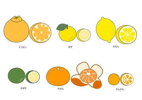 柑橘類セット かんきつ,デコポン,ゆず,レモン,かぼす,みかん,きんかん,ベクター,かわいい,からーのイラスト素材