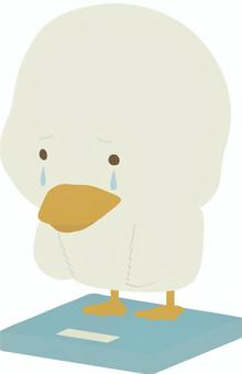 Scale_bird_duck_crying, JPG, PNG and AI Scale_bird_duck_crying, weight meter, duck, cry, JPG, PNG and AI
