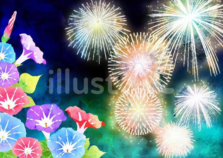 花火とあさがお水彩風背景 花火,あさがお,水彩のイラスト素材