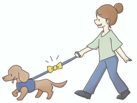 イエロードッグ 犬,イエロードッグ,イエローリボン,しつけ,動物病院,散歩,ドッグトレーナー,マナー,しつけ教室,トレーニングのイラスト素材