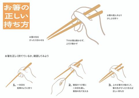 お箸の正しい持ち方＿橙線画 箸,持ち方,正しい,食育,線画,手書き,ゆるい,シンプル,オシャレのイラスト素材