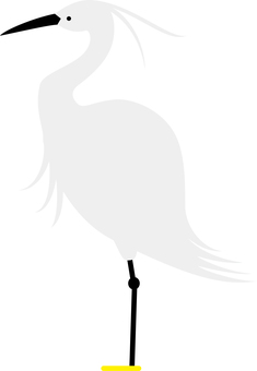 かわいい鳥（コサギ） 鳥,コサギ,サギ科,白,くちばしのイラスト素材
