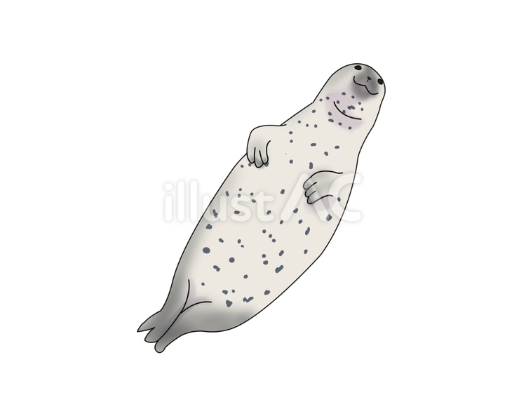ゴマフアザラシ（仰向け） ゴマフアザラシ,アザラシ,動物のイラスト素材