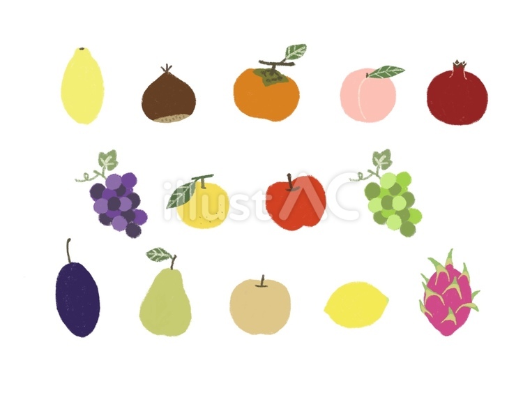 秋の果物セット 秋,果物,手描きのイラスト素材