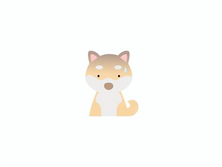 ドン引きするワンちゃんのミニマル 犬,戸惑い,困惑,引く,拒絶,ショック,カラーのイラスト素材