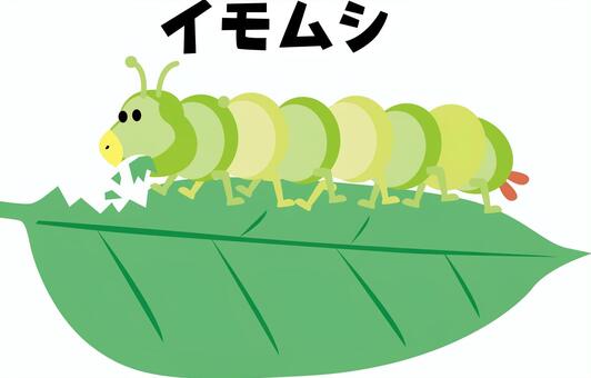 イモムシ食事 イモムシ,葉,食べる,食事,幼虫,昆虫,生き物,小さい,文字,キャラのイラスト素材