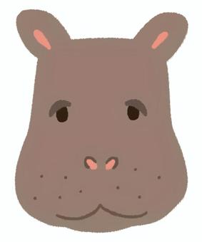 正面を向いて微笑んでいる可愛いカバの顔 正面を向いて微笑んでいる可愛いカバの顔 カバ,顔,動物,動物園,微笑む,シンプル,かわいい,哺乳類,表情,一匹のイラスト素材