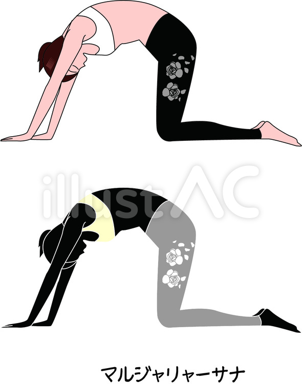 ヨガ　インド　猫のポーズ　女性 ヨガ,ポーズ,健康のイラスト素材