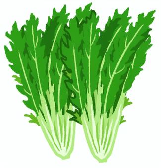Illustration, mizuna, vegetables, green and yellow vegetables, 